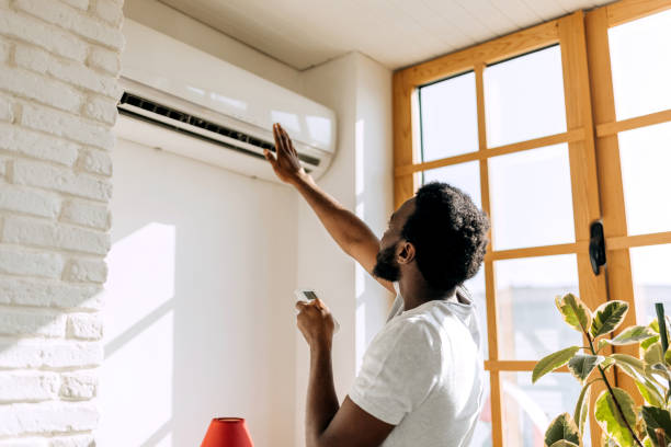 Best Solar-powered HVAC Systems in Kaneohe, HI